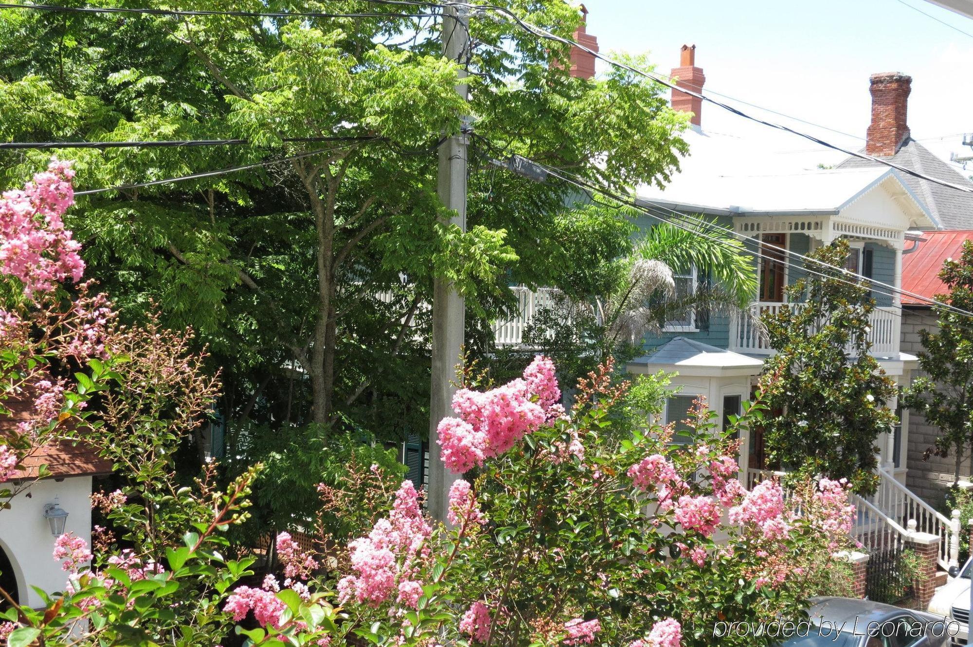 Bayfront Westcott House Bed & Breakfast St. Augustine Bagian luar foto