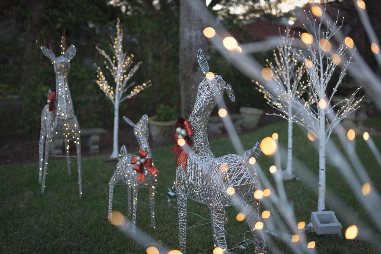 Bayfront Westcott House Bed & Breakfast St. Augustine Bagian luar foto